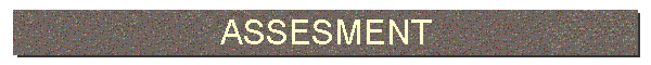 ASSESMENT