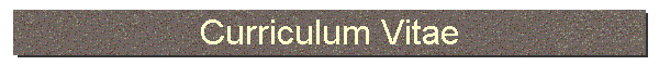 Curriculum Vitae